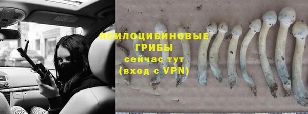 марки lsd Алзамай