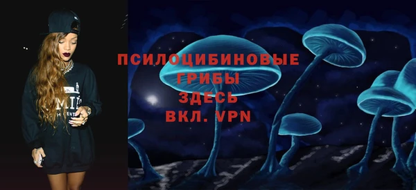 соль ск Алексин