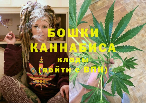 соль ск Алексин