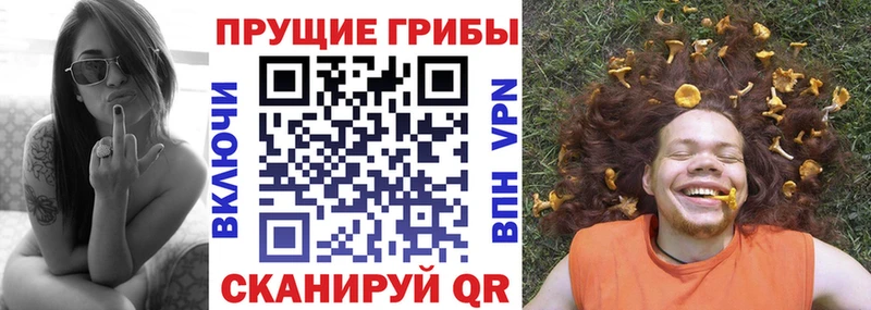 даркнет официальный сайт  Аткарск  Псилоцибиновые грибы Cubensis  МЕГА маркетплейс 